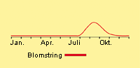 Vindaks: Fremspiring