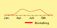 Hejre, blød: Fremspiring