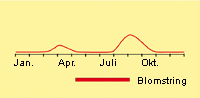 Hejre, gold: Fremspiring