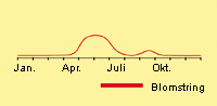 Jordrøg, læge: Fremspiring