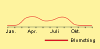 Burresnerre: Fremspiring