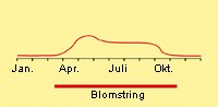 Brandbæger, alm.: Fremspiring