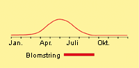 Spergel, alm.: Fremspiring