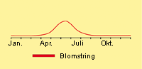 Følfod: Fremspiring